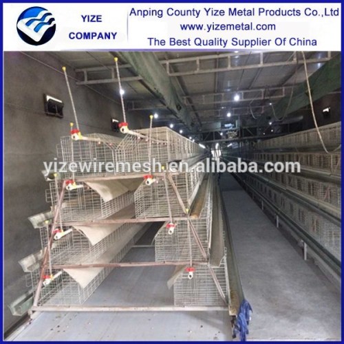 Types Of Battery Cage System/poultry Battery Cage System/large Chicken