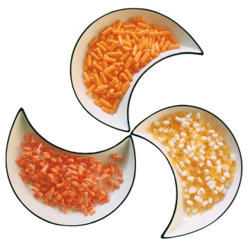 Factory Supplier Printed Hard Gelatin Empty Capsules in Various Sizes