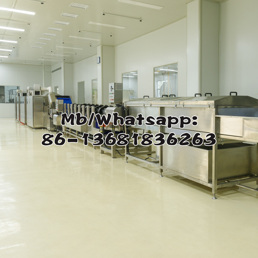 Vacuum packing machine