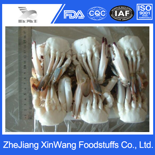 Frozen Seafood Half Cut Swimming Crab