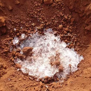 Super Absorbent Polymer Granules for Agriculture | WELLDONE SAP Hydrogel