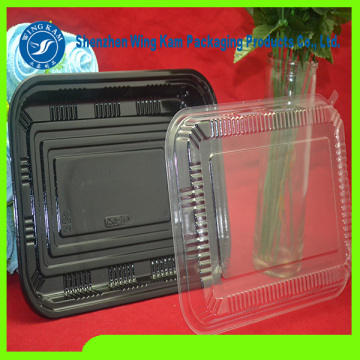 Plastic Thermoformed Blister Manufacturer Tray