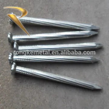 Concrete Nail Glavanized steel nail Direct Factory
