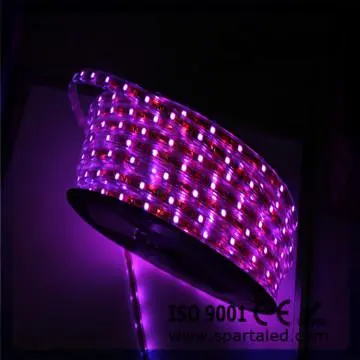 AC220V SMD5050 60leds/m  led strip