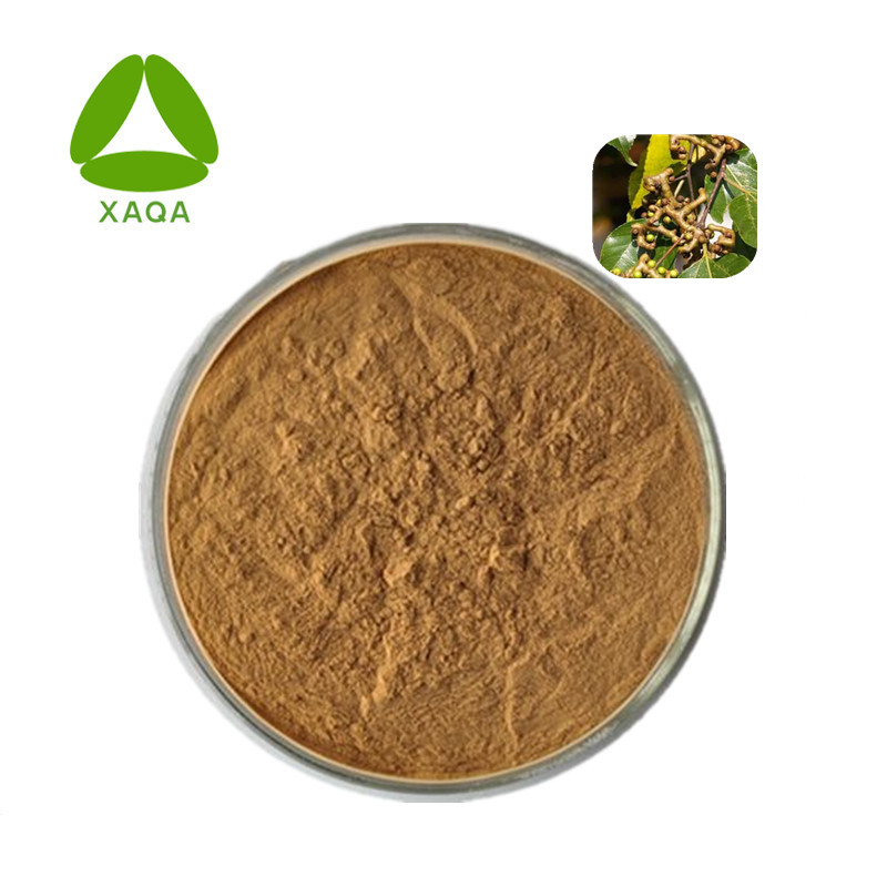 Semen Hoveniae Extract 20:1 Powder