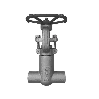 High Pressure Globe Valves: 600lb to 2500LB Pressure Seal Globe Valve