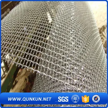 Barbecue Grill Wire Netting/Crimped Wire Mesh