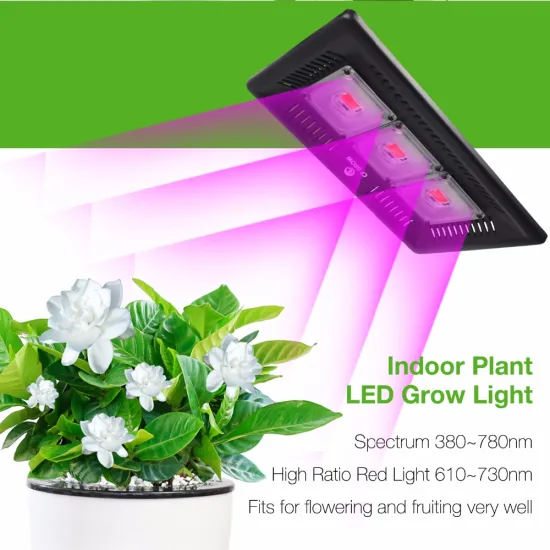 wholesale 300w silent 3 cob led chips hobby plant agriculture grow light