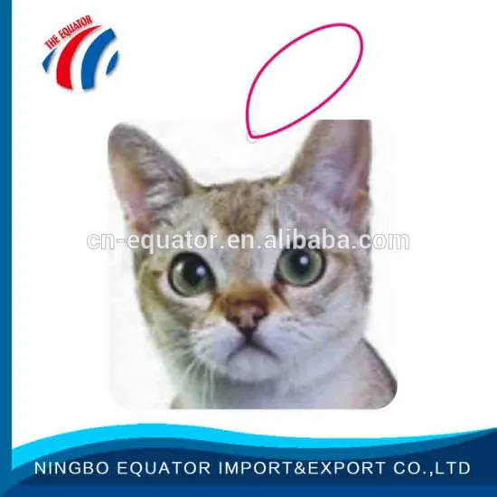 Best service OEM cat good car air fresheners