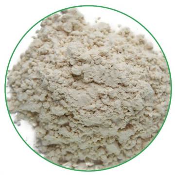 High quality brown rice protein for food additives