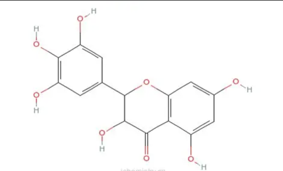 Ampelopsis Extract Dihydromyricetin Powder