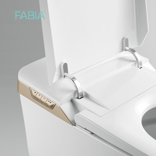 Floor Smart Toilet Hot Sale Gold Panle Smart Toilet Bidet Supplier