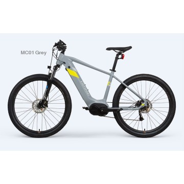 Grey Assist Hybrid Electric Bike