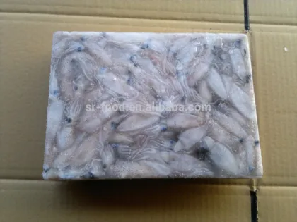 frozen sea fish baby squid