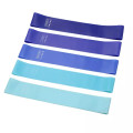 Therapy Fitness Stretch Resistance Bands