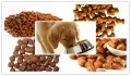 Στεγνό σκυρόδεμα τροφής για κατοικίδια κάνοντας εξάπλωση εξοπλισμού