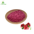 Natural pomegranate peel juice powder