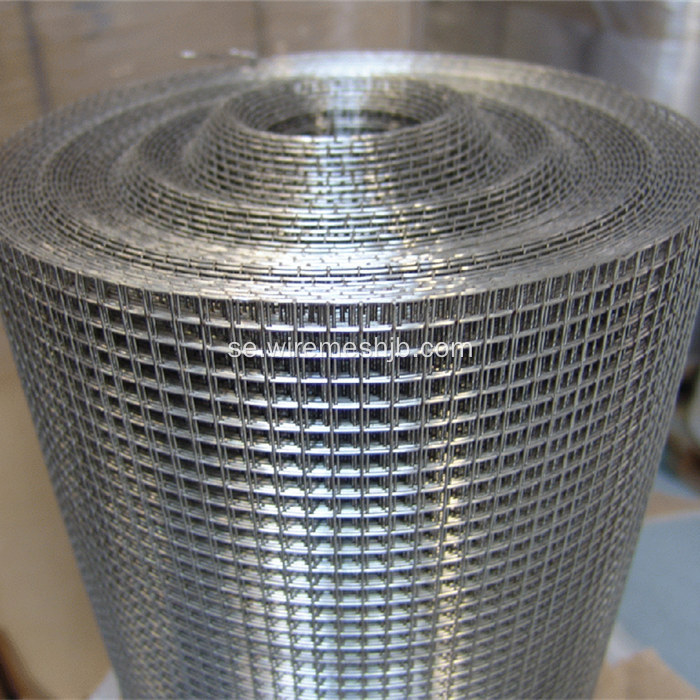 Galvaniserad Svetsad Wire Mesh