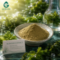 Regulador natural del crecimiento vegetal en polvo de extracto de algas marinas