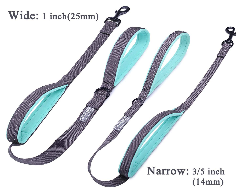 Two Handles Dog Leash