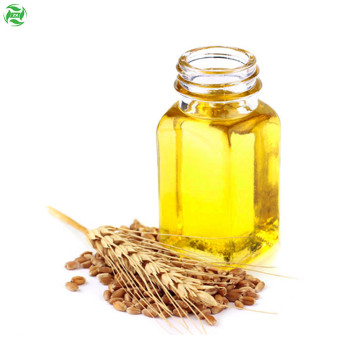 Wheat Germ Oil Perawatan Kulit Minyak Esensial Alami