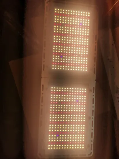 220W Full Spectrum Grow lights with Samsung LM301BChips