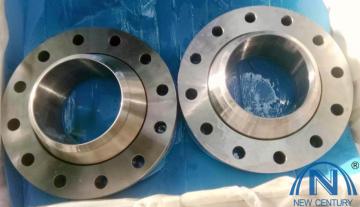 Swivel Standard Flanges TYPE