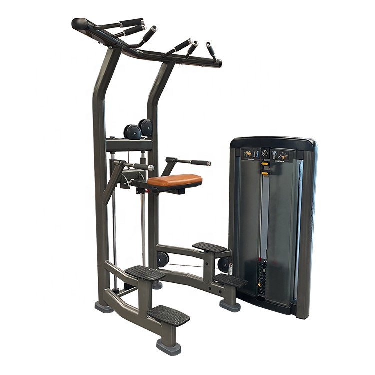 Machines d'exercice de fitness DIP / Chin Assist de gymnase commerciale