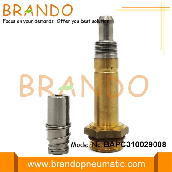 Brass Plunger Tube Stainless Steel Moving Core Armature
