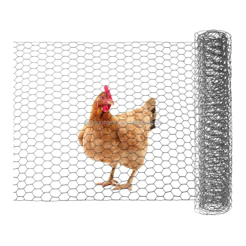 16 Gauge Galvanized Hexagonal Wire Mesh 25mm x 25mm for Farm