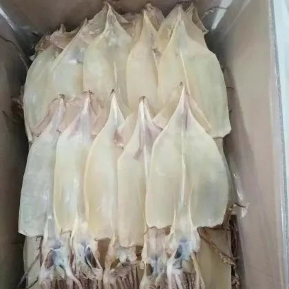 Dried Squid (AG) Skin Off