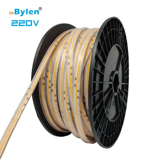 Customization Inbylen 220V 50m Silicone Waterproof 12W LED Strip