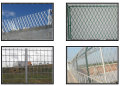 Gelast type Razor Wire