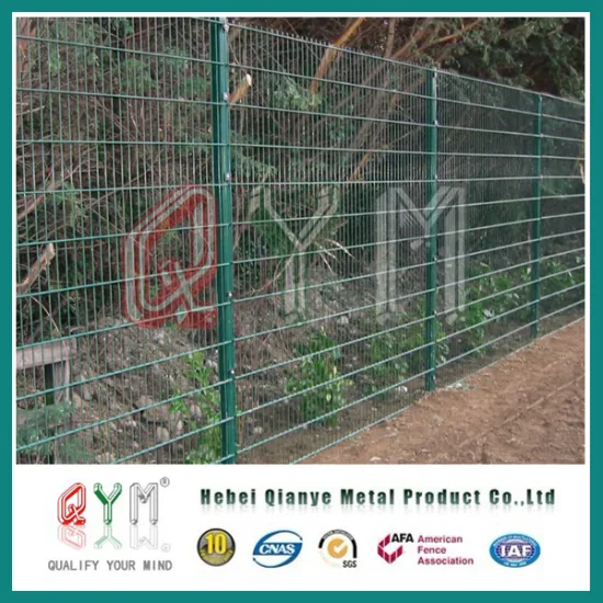 Qym-Powder Coated Double Wire Fence / PVC Coated Fence