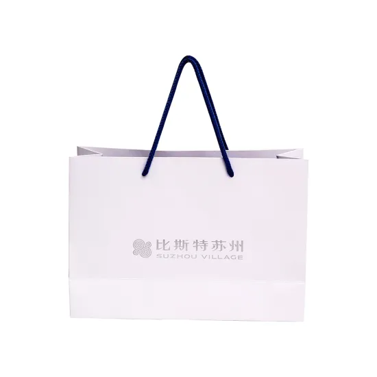 Customized Paper Gift Bag With Handle