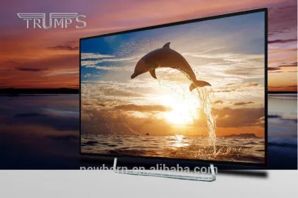 58 Inch Big Screen Outdoor Led Tv Portable Digtal Tv Led Tv OEM