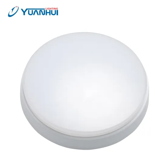 Waterproof IP65 LED Ceiling Dome Light: Bulkhead Round Lighting Solution