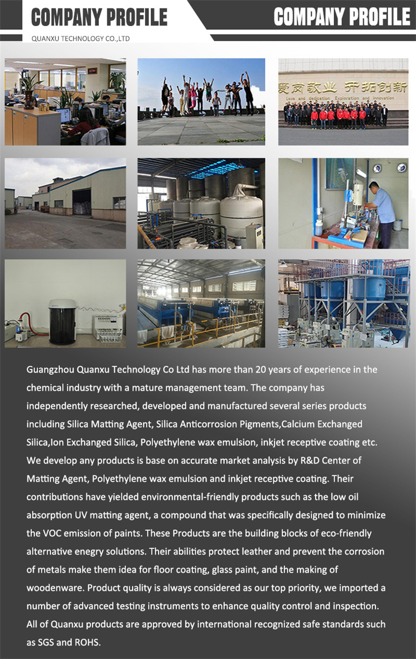 Company Profile-1