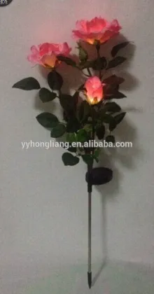 flower rose light