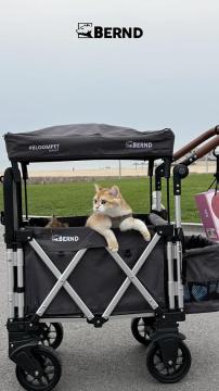 Lightweight Foldable Mini Pet Stroller for Small Dogs