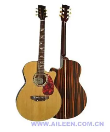 Acoustic Guitar-Cutaway Guitar