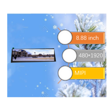8.88 Inch TFT LCD 480x1920 Resolution Display with MIPI Interface