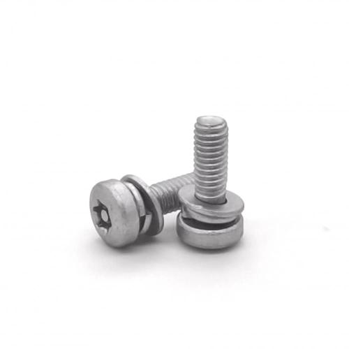 Anti-Theft Pan Head Assembling Screw M4-0.7*12