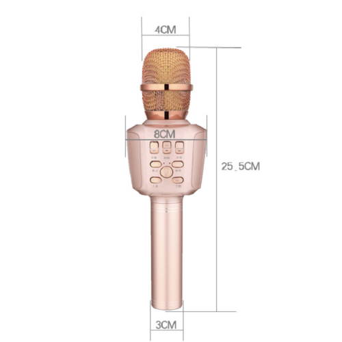 Home KTV portable microphone
