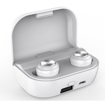 Wireless Earbuds with Charging Case