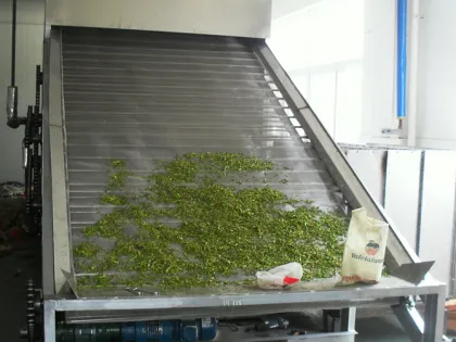 Sweet potato chips DW Multi-layer Belt Dryer