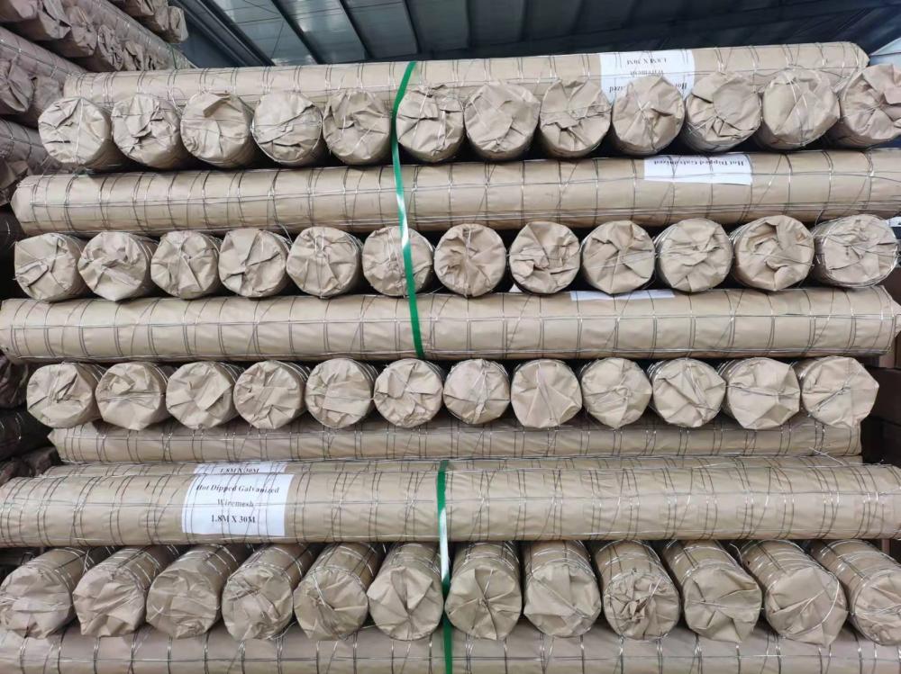 Hot dipped galvanized welded wire mesh for roll