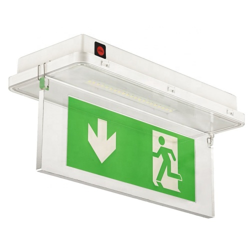 Señales de salida de emergencia impermeables LED IP65 LED