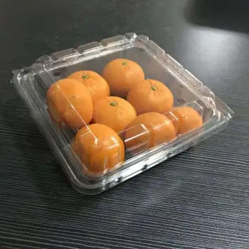 Wholesale Transparent Food Packaging Container