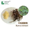 Small MOQ Top Quality kava kava extract